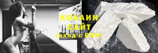 прущие крисы Богданович