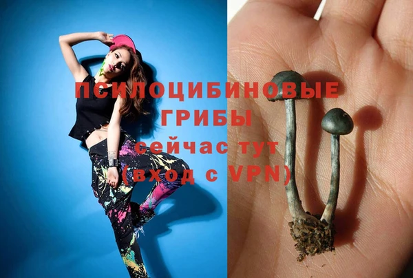 дурь Богородск