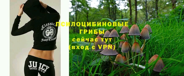 амф Богородицк